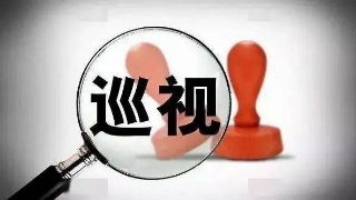 督导组在巡视整改专题民主生活会上的点评讲话提纲材料范文